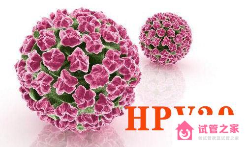 hpv39陽性可以做試管嬰兒嗎