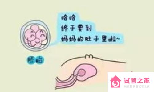 胚胎移植階段部分女性會感覺不適