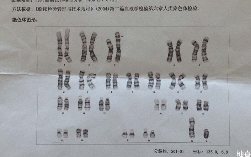 泰國試管嬰兒生男孩