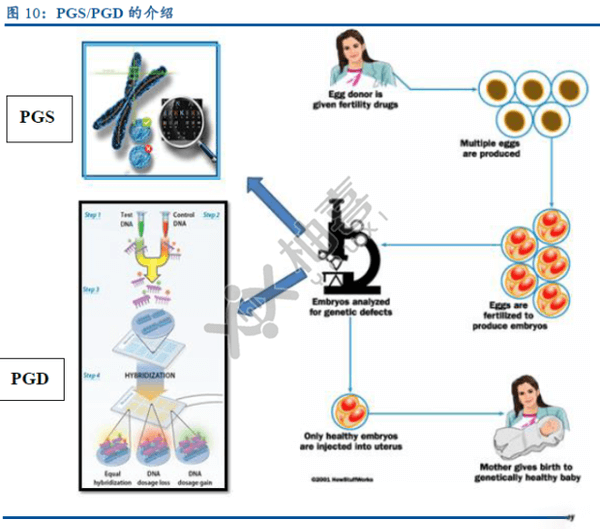 PGS/PGD的介紹