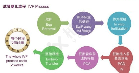 NGC醫(yī)院試管嬰兒流程