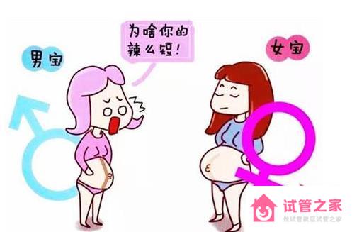 10秒測(cè)出懷男孩和女孩