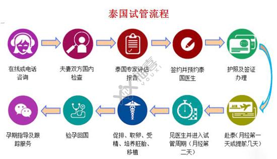 泰國試管嬰兒流程圖