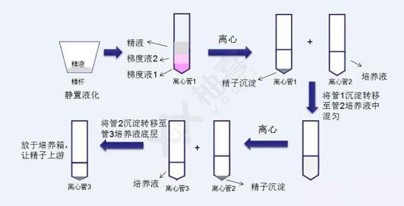 洗精原理與流程