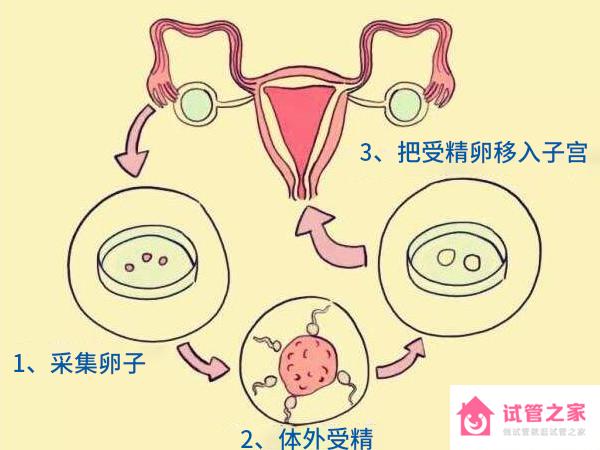 四*試管沒有運(yùn)用到臨床