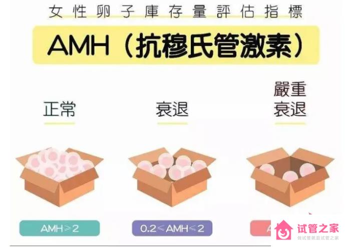 AMH檢查最佳時間