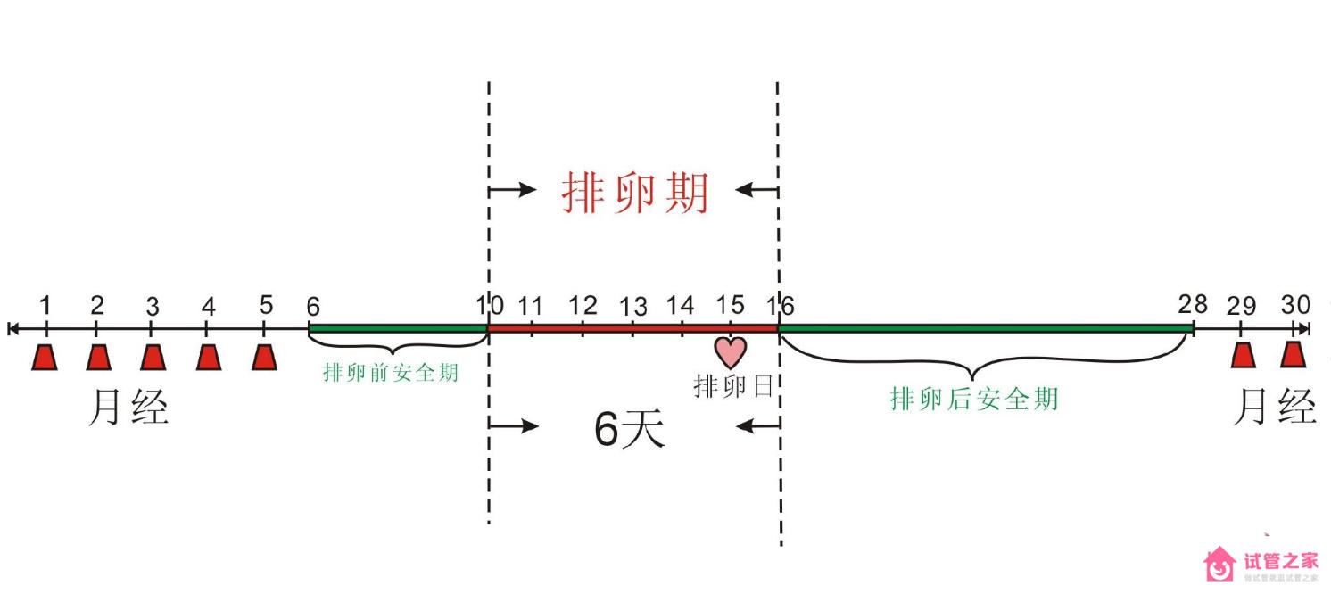 排*期怎么算才最準確