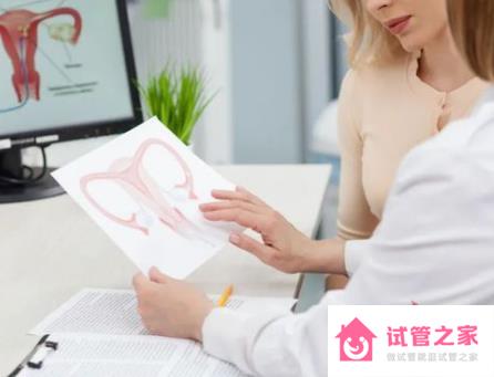 甲狀腺癌能做試管嬰兒?jiǎn)?/></p><br>甲狀腺癌是什么病？<p>甲狀腺是我們頸部的一個(gè)小蝴蝶腺，通常在4到6厘米之間。雖然它很小，但它對(duì)整個(gè)身體都有很大的影響。甲狀腺產(chǎn)生的甲狀腺激素可以調(diào)節(jié)身體的新陳*謝，我們的心跳、體溫、情緒都與甲狀腺功能密切相關(guān)。</p><br><p>甲狀腺癌由幾種不同的生物行為和不同的病理類(lèi)型組成，主要包括乳頭狀腺癌、濾泡狀癌、非分化癌和髓樣癌。它們的生長(zhǎng)速度、轉(zhuǎn)移方式和預(yù)后明顯不同。例如，乳頭狀腺癌術(shù)后10年的生存率接近90%，而非分化癌的過(guò)程很短，通常只存活幾個(gè)月。</p><br>甲狀腺癌能做試管嬰兒?jiǎn)幔?p>在正規(guī)醫(yī)院做試管嬰兒，術(shù)前會(huì)有全面的體檢。你可以去醫(yī)院抽血檢查甲狀腺激素，看看甲狀腺激素是否正常。甲狀腺癌手術(shù)后，如果恢復(fù)得很好，身體各方面都能承受整個(gè)懷孕周期，不會(huì)影響胎兒，那么就可以做試管嬰兒了。</p><br><p>然而，如果發(fā)現(xiàn)任何不符合試管受精指標(biāo)的項(xiàng)目，則不能進(jìn)行試管受精。同時(shí)，在試管受精和懷孕期間，應(yīng)定期檢查甲狀腺激素，并采取必要的措施。</p><br><p>在甲狀腺癌中，乳頭狀癌和濾泡癌的惡性程度較低。術(shù)后患者有10年以上的生存期，甚至有機(jī)會(huì)康復(fù)，但甲狀腺癌患者通常免疫力較弱。</p><br><p>因此，在做試管之前，我們需要好好調(diào)理身體，選擇一些有營(yíng)養(yǎng)價(jià)值的食物，也要選擇易于消化吸收的食物，如大骨湯、雞湯等營(yíng)養(yǎng)湯，多吃新鮮營(yíng)養(yǎng)的水果和綠色蔬菜，多補(bǔ)充維生素c，多吃甜杏仁、柿子、甲魚(yú)、烏龜、核桃、蘑菇、蘑菇等能增強(qiáng)免疫力的食物。平時(shí)多注意休息，不要熬夜。</p><br><p>綜上所述，是關(guān)于甲狀腺癌能做試管嬰兒?jiǎn)幔?，患病期間絕對(duì)不能做手術(shù)。疾病治愈后，復(fù)查激素正常，符合試管標(biāo)準(zhǔn)，才能進(jìn)周做試管嬰兒。</p><br></td>
</tr>
</table>

<!--[diy=diycontentbottom]--><div   class="7rrrrrr39"   id="diycontentbottom" class="area"></div><!--[/diy]-->

<script src="http://rawfoodmiddagar.com/static/js/home.js?FmM" type="text/javascript"></script>
<div   class="7rrrrrr39"   id="click_div"><table cellpadding="0" cellspacing="0" class="atd">
<tr><td>
<a href="http://rawfoodmiddagar.com/home.php?mod=spacecp&ac=click&op=add&clickid=1&idtype=aid&id=7881&hash=efdbc1b9115e13c3f1a954ae8c1b6926&handlekey=clickhandle" id="click_aid_7881_1" onclick="showWindow(this.id, this.href);doane(event);">
<img src="static/image/click/xianhua.gif" alt="" /><br />鮮花</a>
</td>
<td>
<a href="http://rawfoodmiddagar.com/home.php?mod=spacecp&ac=click&op=add&clickid=2&idtype=aid&id=7881&hash=efdbc1b9115e13c3f1a954ae8c1b6926&handlekey=clickhandle" id="click_aid_7881_2" onclick="showWindow(this.id, this.href);doane(event);">
<img src="static/image/click/woshou.gif" alt="" /><br />握手</a>
</td>
<td>
<a href="http://rawfoodmiddagar.com/home.php?mod=spacecp&ac=click&op=add&clickid=3&idtype=aid&id=7881&hash=efdbc1b9115e13c3f1a954ae8c1b6926&handlekey=clickhandle" id="click_aid_7881_3" onclick="showWindow(this.id, this.href);doane(event);">
<img src="static/image/click/leiren.gif" alt="" /><br />雷人</a>
</td>
<td>
<a href="http://rawfoodmiddagar.com/home.php?mod=spacecp&ac=click&op=add&clickid=4&idtype=aid&id=7881&hash=efdbc1b9115e13c3f1a954ae8c1b6926&handlekey=clickhandle" id="click_aid_7881_4" onclick="showWindow(this.id, this.href);doane(event);">
<img src="static/image/click/luguo.gif" alt="" /><br />路過(guò)</a>
</td>
<td>
<a href="http://rawfoodmiddagar.com/home.php?mod=spacecp&ac=click&op=add&clickid=5&idtype=aid&id=7881&hash=efdbc1b9115e13c3f1a954ae8c1b6926&handlekey=clickhandle" id="click_aid_7881_5" onclick="showWindow(this.id, this.href);doane(event);">
<img src="static/image/click/jidan.gif" alt="" /><br />雞蛋</a>
</td>
</tr>
</table>
<script type="text/javascript">
function errorhandle_clickhandle(message, values) {
if(values[