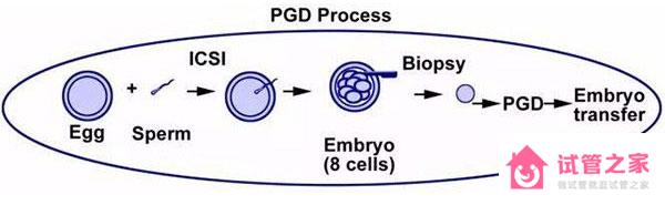 PGD/PGS技術(shù)操作方式