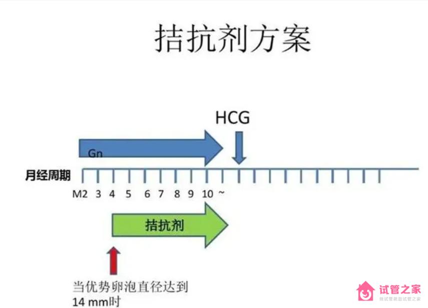 拮抗劑方案內(nèi)膜會變薄嗎