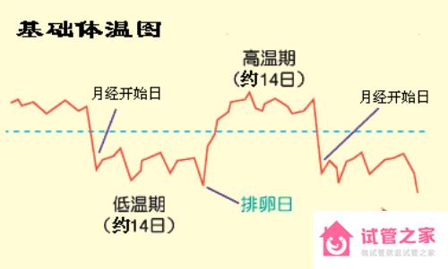 排*后體溫不升高是怎么回事