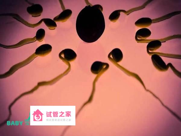 男性精子活力要達(dá)到多少才能做第二*試管嬰兒