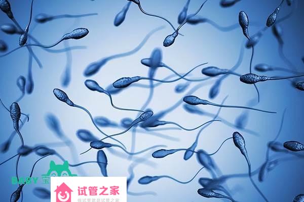 2022申請精子庫精子有哪些流程