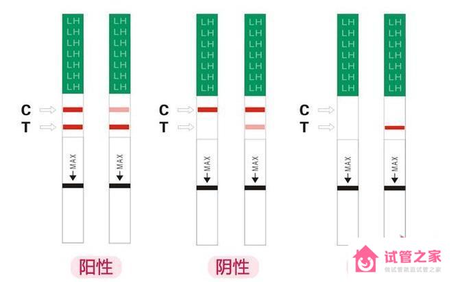 排*試紙什么時(shí)候用