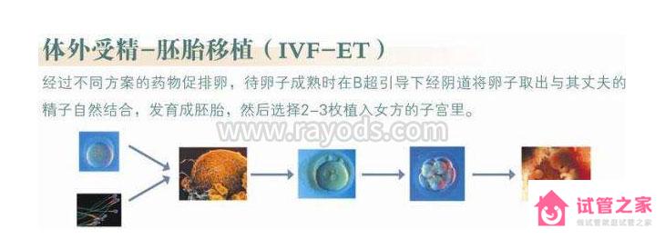 第三*試管嬰兒就會適合你嗎？這些區(qū)別你一定要知道！