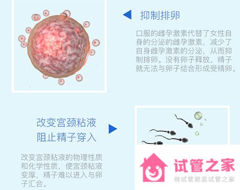 媽富隆是什么-價(jià)格-作用-副作用-用法-注意事項(xiàng)