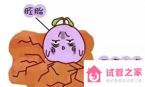 注射普麗康能讓內(nèi)膜長(zhǎng)嗎