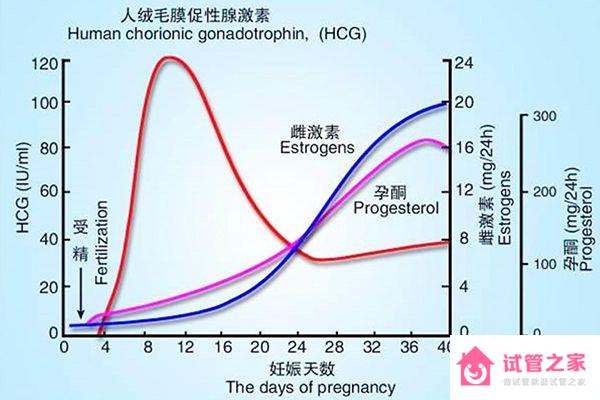 成功案例|囊胚移植一直白板別慌，驗(yàn)血成功翻盤比比皆是