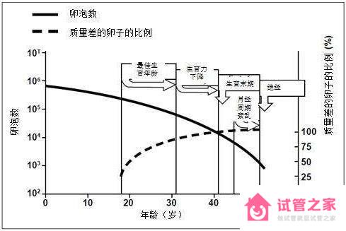 影響泰國(guó)試管嬰兒成功率的因素有哪些