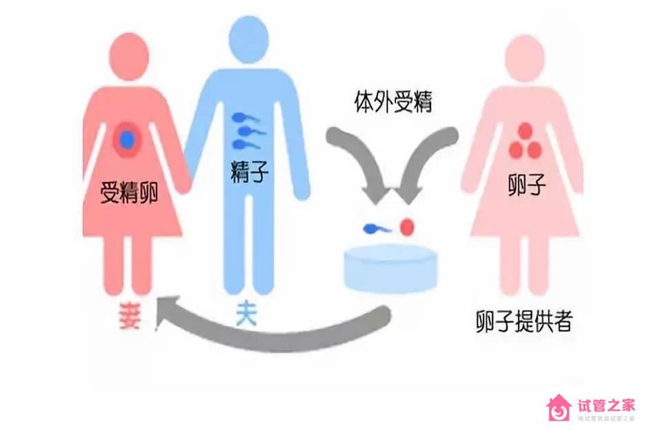 供*試管生的孩子聰明健康嗎？看完這三個(gè)原因就全明白了