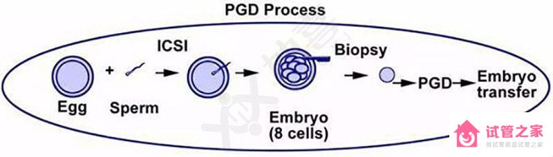 不僅需要“優(yōu)質(zhì)的種子”，這2大因素也影響試管嬰兒成功率