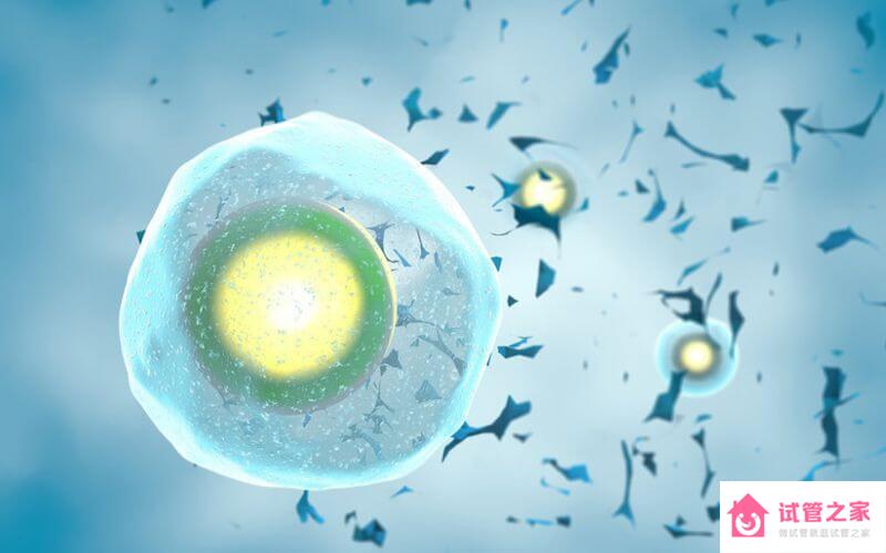 試管先移植囊胚的3大原因，提升成功率、減少成本是關(guān)鍵
