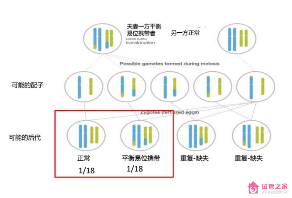 第三*試管嬰兒技術(shù)是什么？