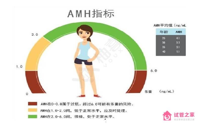 改善amh低的4個(gè)小妙招，藥物+飲食+運(yùn)動(dòng)+情緒調(diào)理