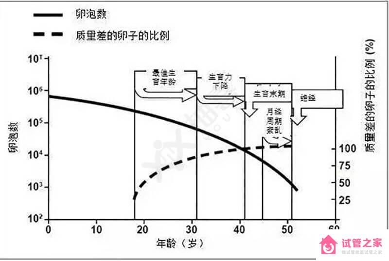 4個方法調(diào)理amh低的現(xiàn)狀，飲食+運(yùn)動提升治愈幾率