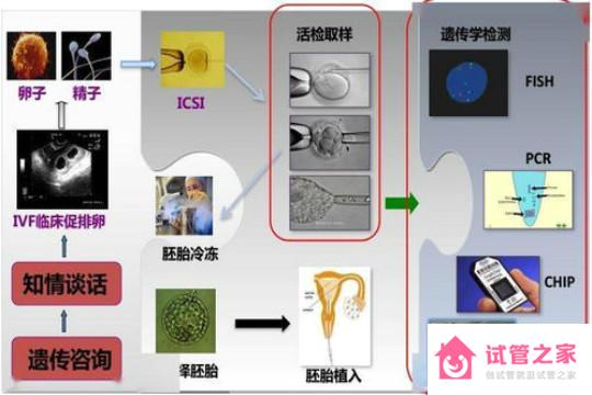 第三*試管嬰兒的利弊有哪些?