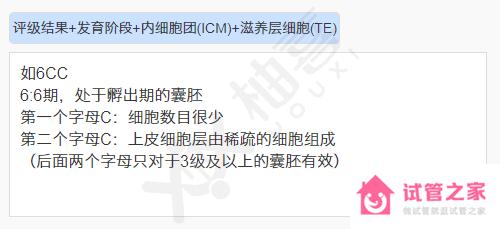 能養(yǎng)囊都是好胚！6cc囊胚質(zhì)量想成功并非不可能