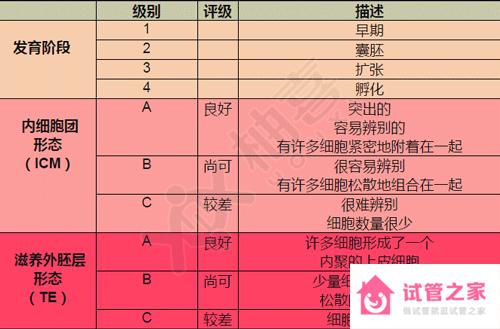 囊胚質(zhì)量4ca別放棄，“好孕”信心是成功與否的關(guān)鍵！