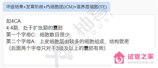 囊胚質(zhì)量4ca別放棄，“好孕”信心是成功與否的關(guān)鍵！