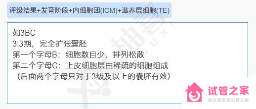 3分鐘弄懂3bc囊胚是什么意思，質(zhì)量、著床率全在這