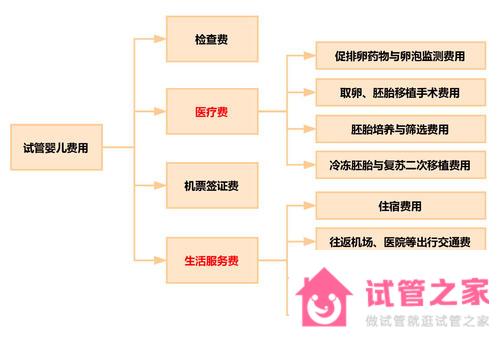 做泰國試管嬰兒前準備攻略