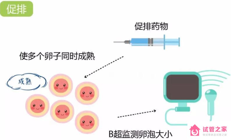 只取了3個(gè)*泡做三*試管 能成功嗎？