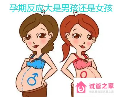 孕期反應(yīng)大是男孩還是女孩