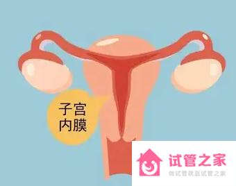 子宮內膜太薄、太厚會影響好孕嗎 怎么改善好內膜環(huán)境呢