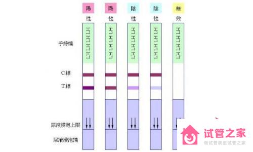 排*試紙一直強(qiáng)陽不排*怎么辦