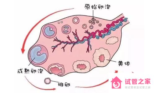 排*的時候會有什么感覺