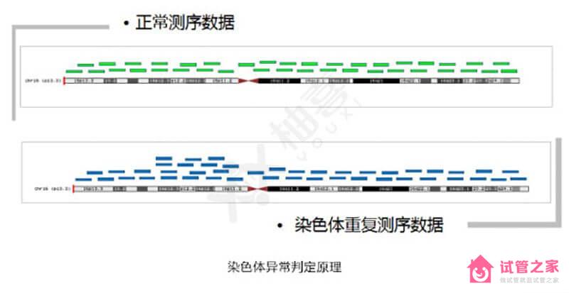 走進(jìn)泰國三*試管嬰兒技術(shù)，基因篩查診斷而非改變