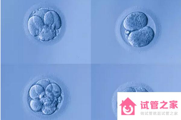 合肥試管嬰兒*懷生子機(jī)構(gòu)排名、哪家醫(yī)院成功率最高！