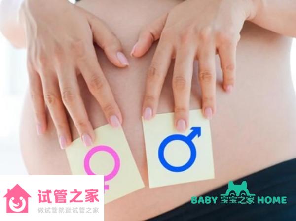 孕14周nt值1.5mm生男孩還是女孩的可能性大？揭秘nt值1.5mm男寶女寶可能性 