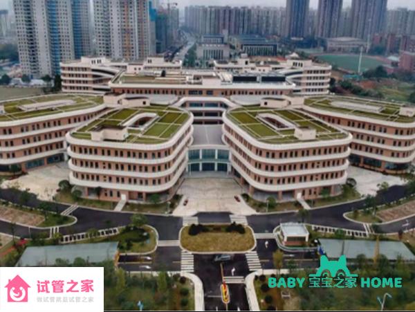 2022長(zhǎng)沙中信湘雅醫(yī)院試管嬰兒成功率一覽，看完就有數(shù)