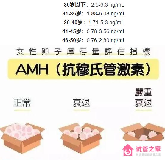 AMH值低于1，能做試管懷孕嗎？10個暗示生男孩的孕期癥狀