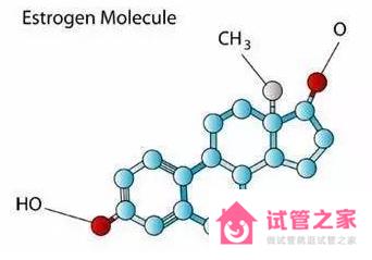 試管中反復(fù)查的雌激素檢查告訴我們什么？