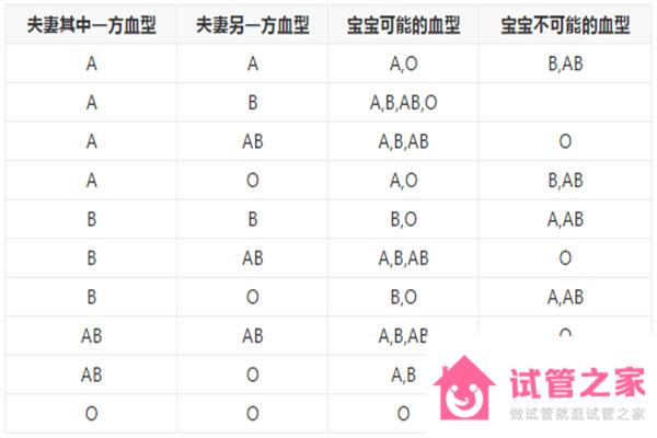 ab型血生的孩子是什么血型，ab型血是稀有血型嗎