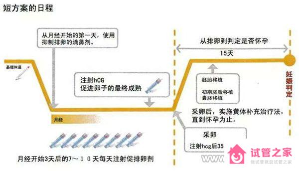 試管短方案促排一般促排幾天？促排*期間需要注意些什么