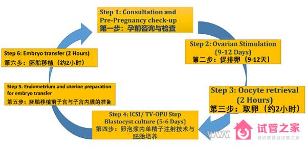 去泰國(guó)做試管提升好孕率的三個(gè)前提條件