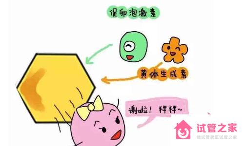 促*泡激素正常值是多少